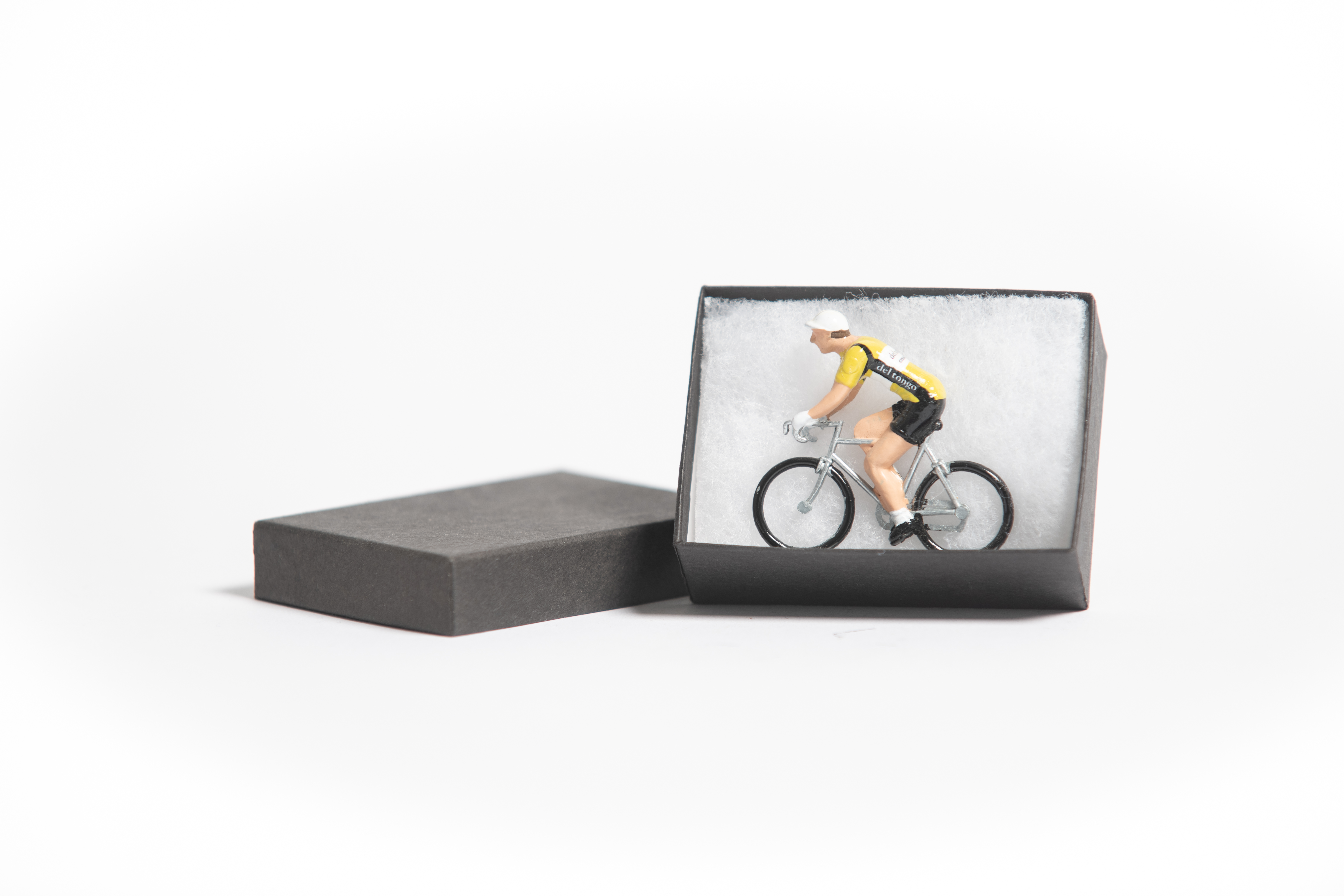 figurine HandPainted,Cyclist model world champion Unique gift For Cyclist 